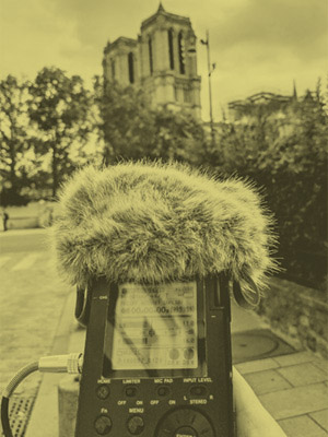 Handheld recorder with furry windshield